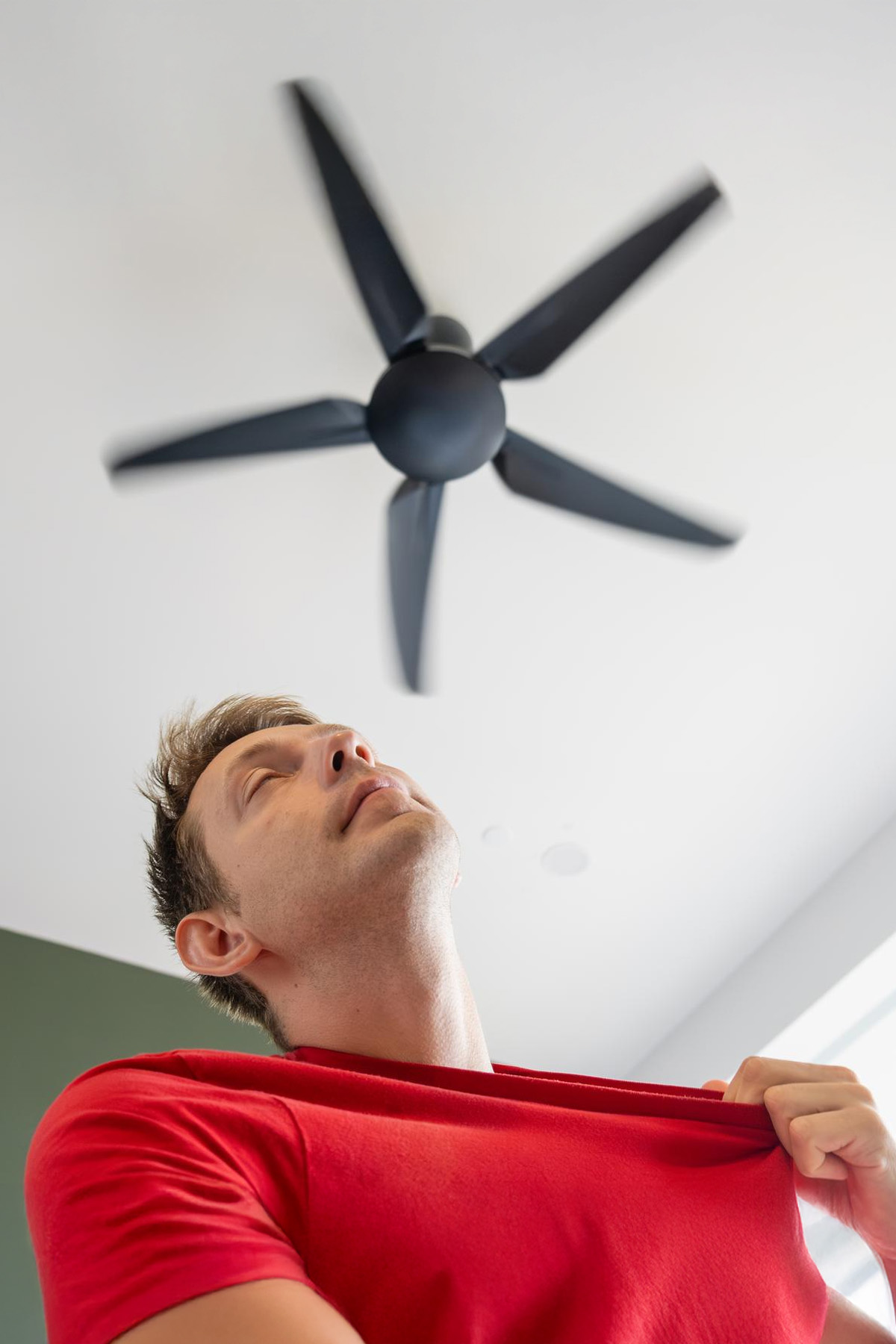 Marcas de ventiladores de techo en Argentina